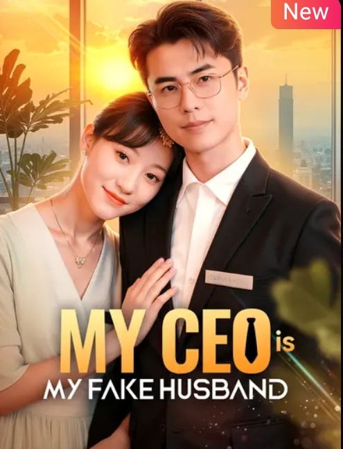 Finding Romance at Work / My CEO Is My Fake Husband